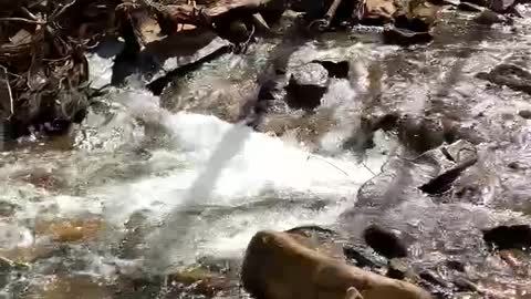 EVER WONDER WHERE IT FLOWS ?