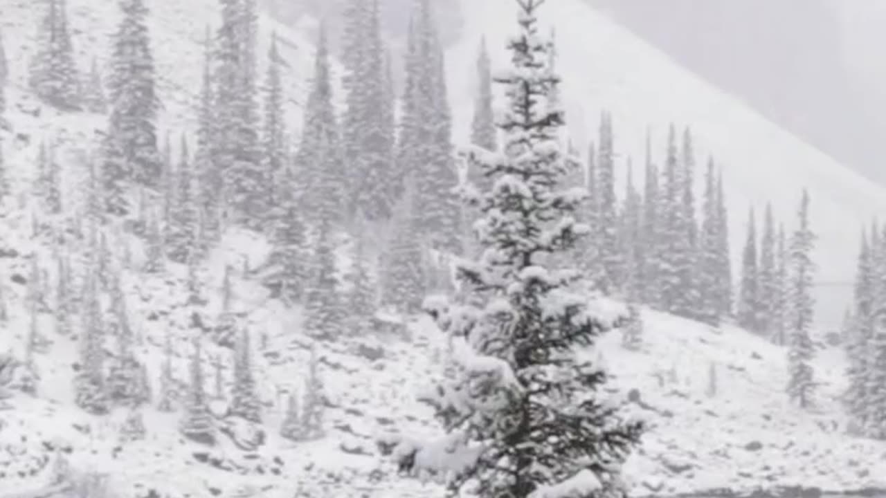 Nature video🎥 looking like video