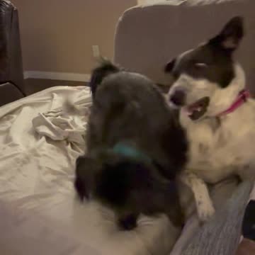 Lana - Happy Girl 03