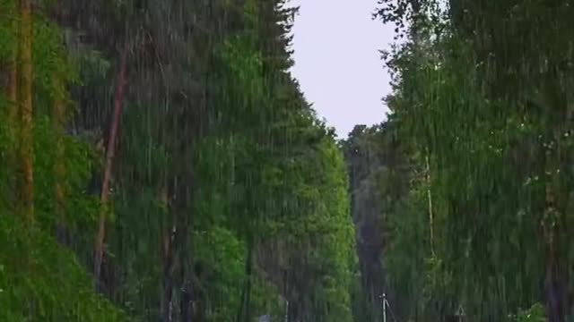 The Sound of rain throughout the day