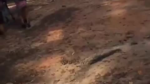 Eisha and cari from Instagram fighR (FULL FOOTAGE)