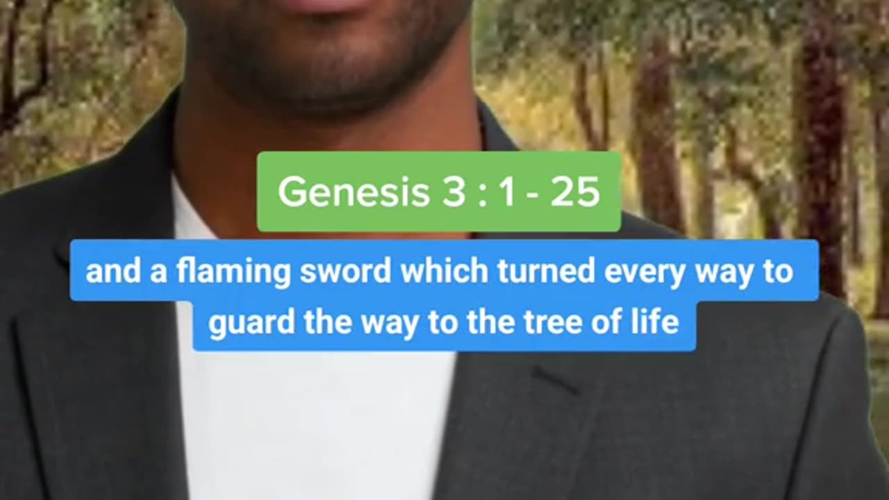 Genesis 3 : 1 - 24