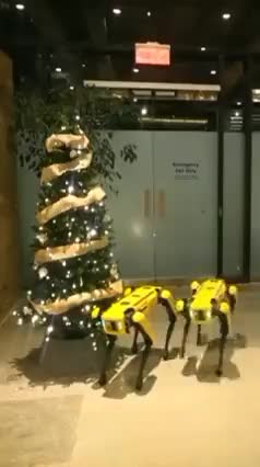 Merry Christmas DAI TUOI AMICI...