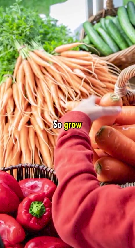 Putin passed a law that any Russian that grows or sells GMO is considered a terrorist?