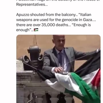 STEFANO APUZZO HUNG PALESTINIAN FLAG ON THE HOUSE OF REPRESENTATIVES