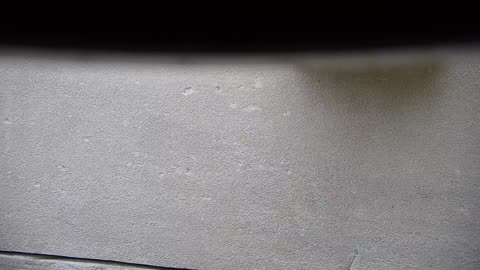 5182CHOB01CH06Exterior_2021-01-06_10h57min17s600ms_1.mp4