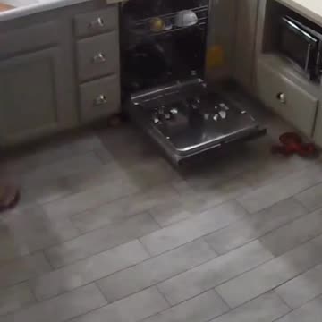 when you were a dishwasher in your past life and remembered why you quit