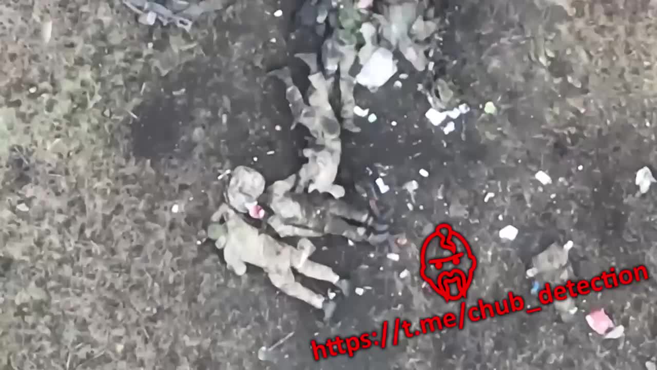 More Dead UkroNazis 🇺🇦☠️