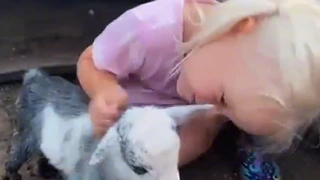 Lambs also like children