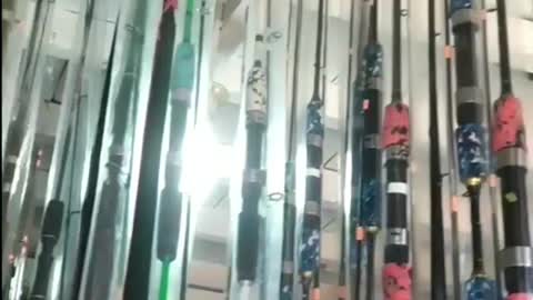 This is a beautiful and charming water-dwelling species