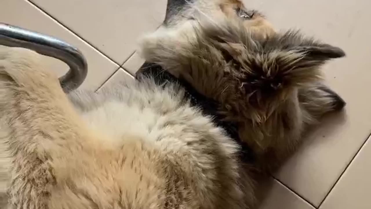 Cuddles!!! ❤️