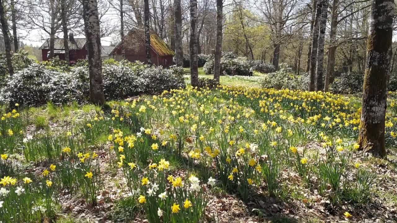 Småland, Sweden 🇸🇪