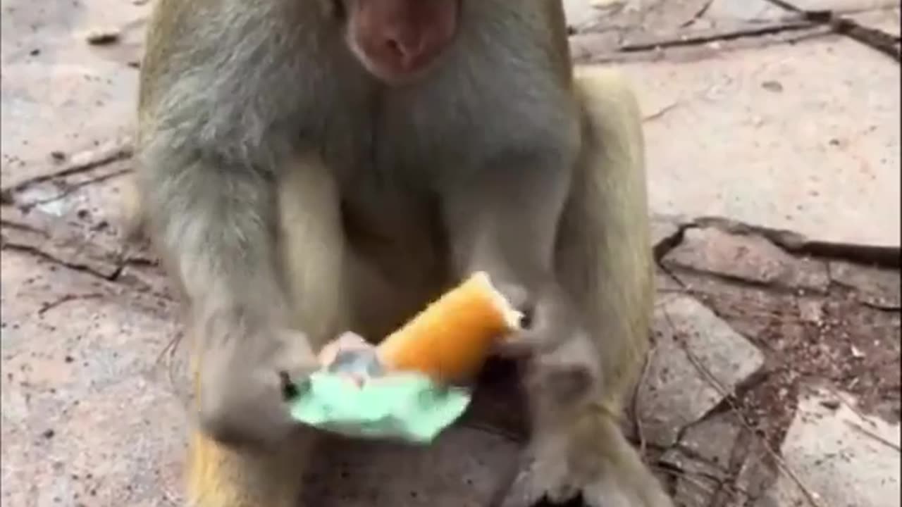 It is important to be hygienic