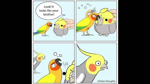 Comics With A Parrot Twist