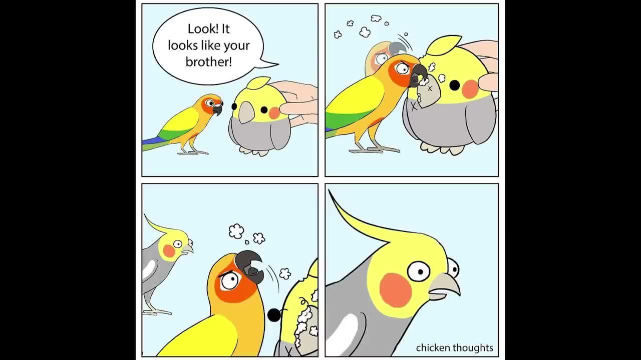 Comics With A Parrot Twist