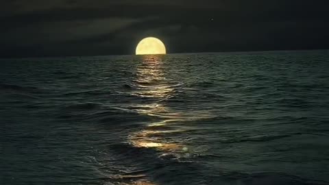 Sea moo. view beautiful night peace