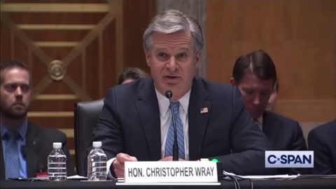 Sen. Johnson reveals Wray’s cooperation in covering up Hunter’s laptop