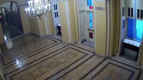 0102USCS01SenateWingDoornearS139_2021-01-06_07h38min13s007ms.mp4