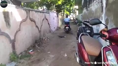 papa ki papa ki pari papa
