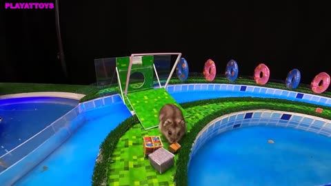 MEGA HAMSTER RACE maze with Traps hamster Minecraft Maze - Cute Hamster - Funny Animal Video