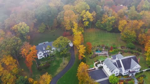 Enchanting Autumn Forests with Beautiful Piano Music