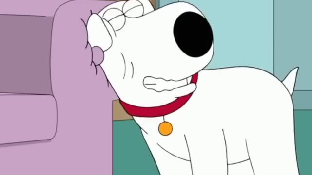 Brian The Cat #familyguy