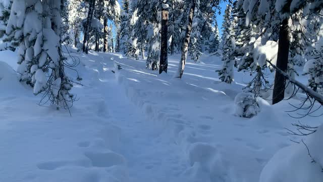 Porcupine Snowshoe Loop – Central Oregon – Swampy Lakes Sno-Park – 4K