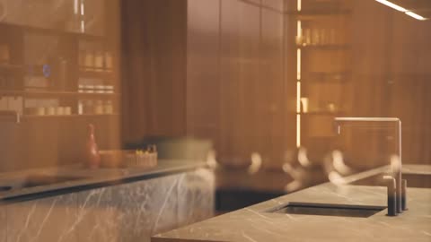 Alea Pro kitchen