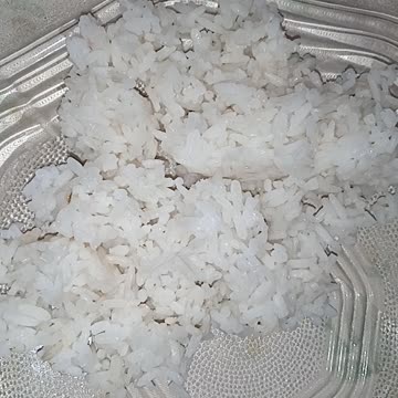 This is my lunch. what's your lunch?