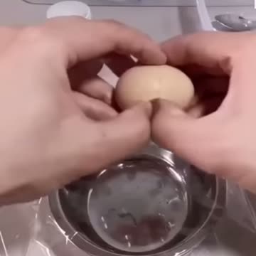 How A Chick born from a Egg in 21 days
