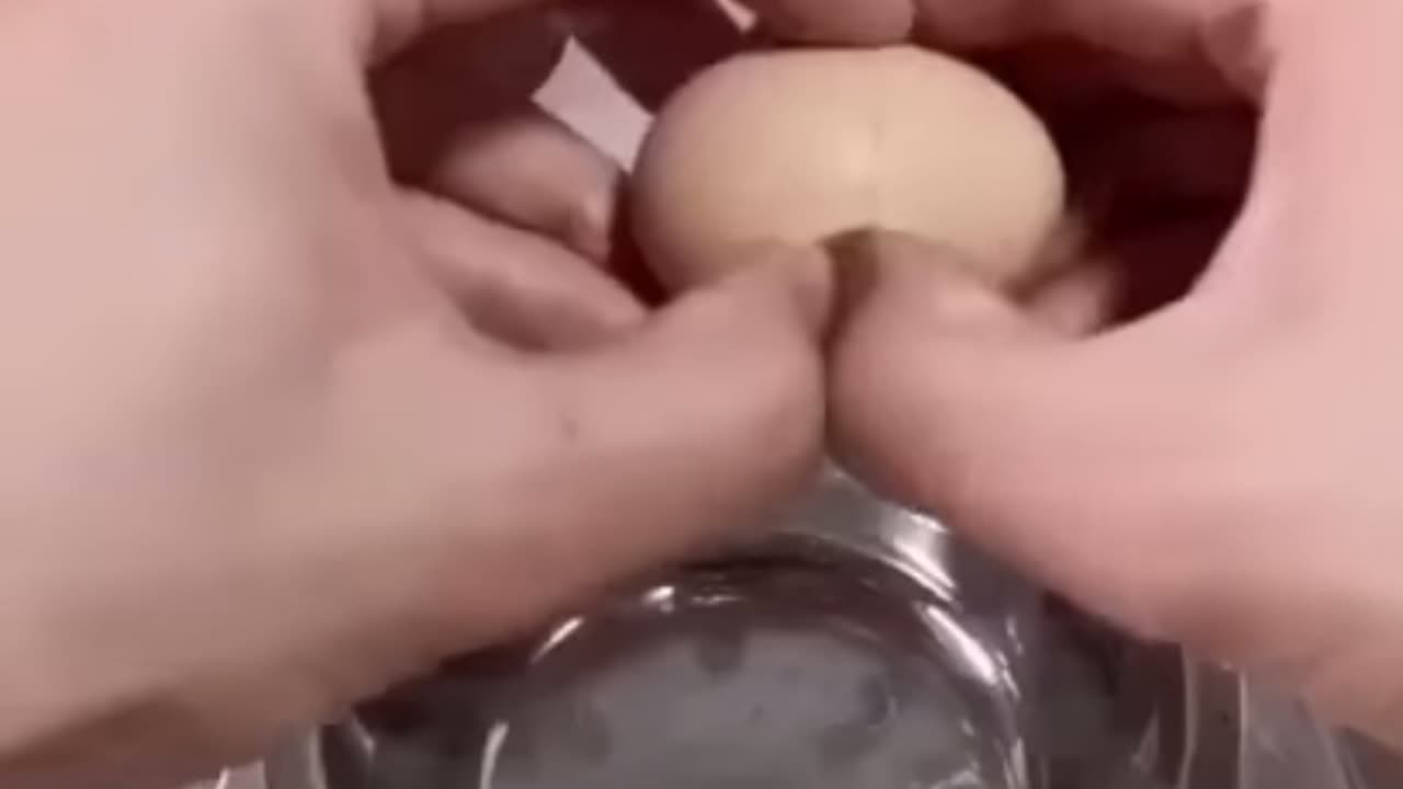 How A Chick born from a Egg in 21 days