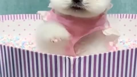 Funny Compilation Happen Unexpectedly......laughing my a$$ off