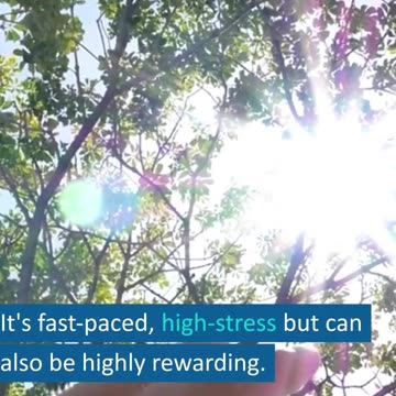 Thrills and Spills of Day Trading: A Guide for the Brave