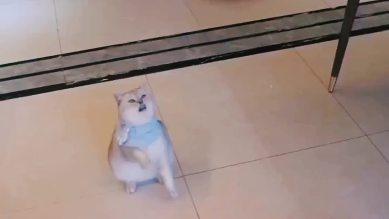 Play to the rhythm of music