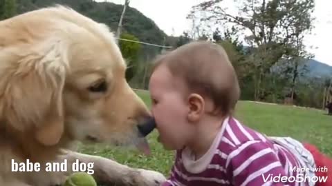 funny dog video babe and dog kissing