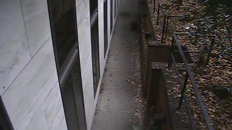 1457HSOB01GroundSoutheast_2021-01-06_08h50min35s657ms.mp4