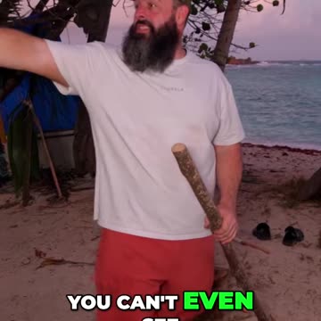 Surviving a Nightmare in the Dark Forest Our Terrifying Adventure