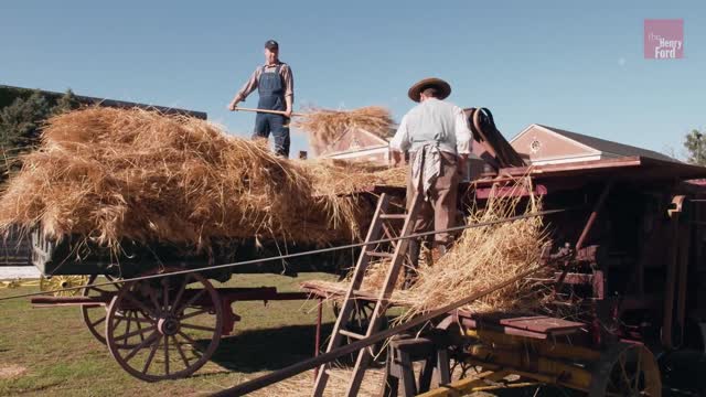 How Farmers Harvested and Threshed Wheat in the 1880s