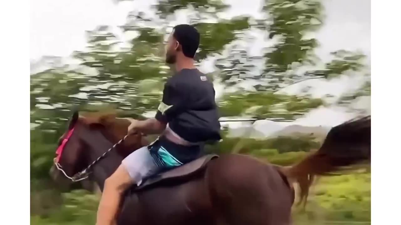 Funny horse running