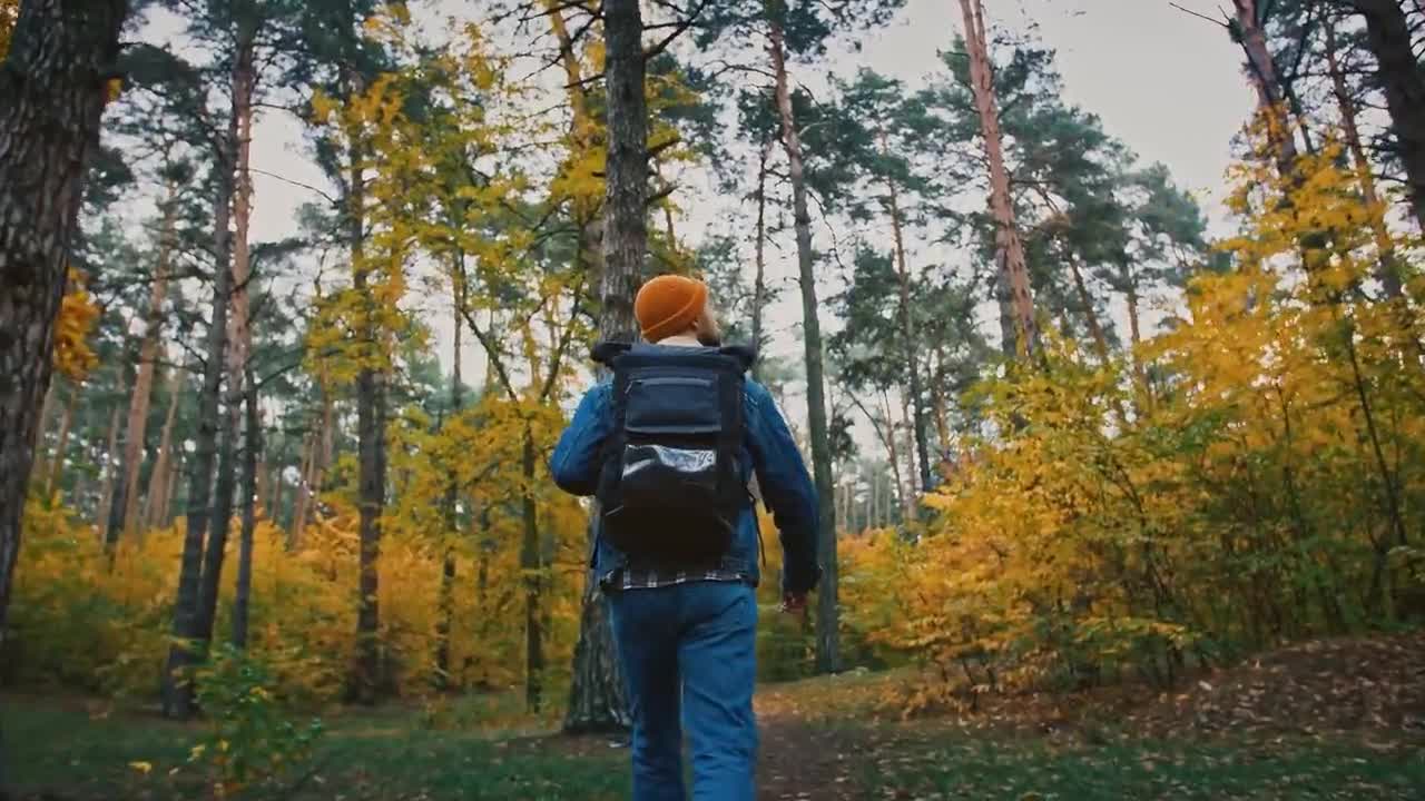Enchanting Autumn Forests with Beautiful Piano Music