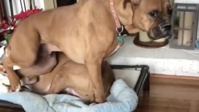 When bae takes your spot