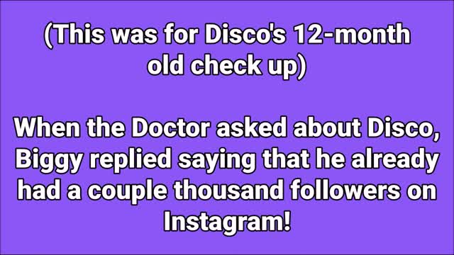 What happened to Disco at the Hospital❓😳 (The Norris Nuts)