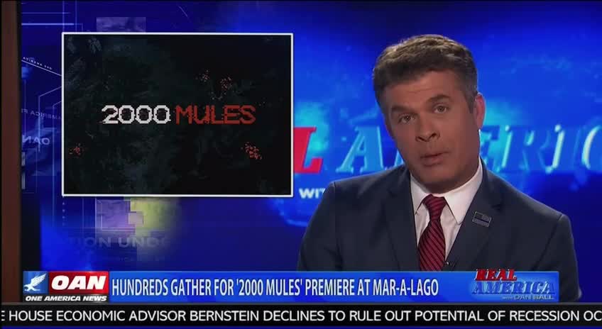 2000 MULES DOCUMENTARY LEAVES OAN's DAN BALL CONVINCED ELECTION RIGGED