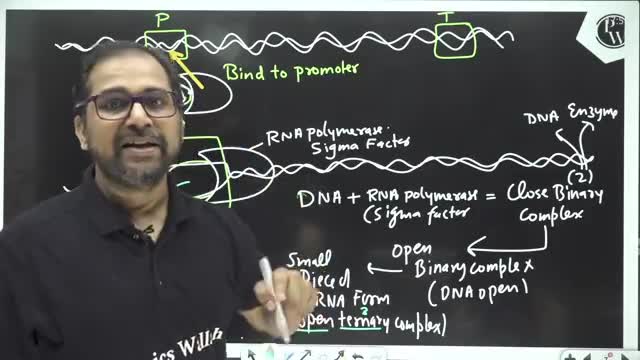 Lakshya NEET Batch PW🎯🎯🎯 Biology Molecular Basis of Inheritance Lecture 11