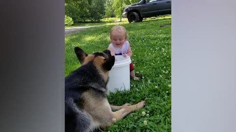 Cute babies playing with dogs 🐕🐕😍