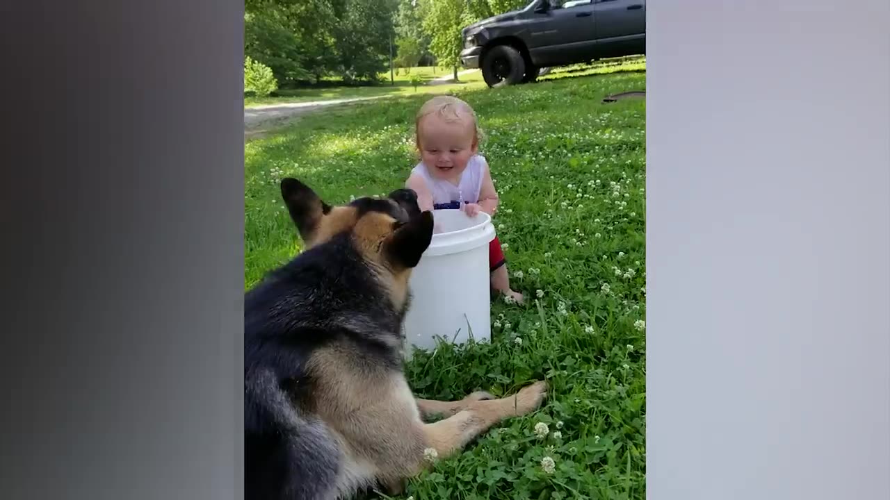 Cute babies playing with dogs 🐕🐕😍