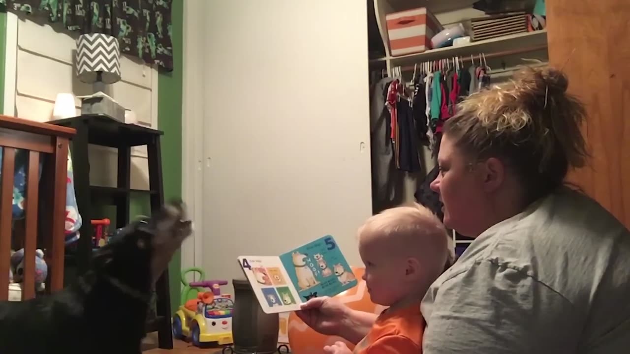 Funniest Baby Try To Read