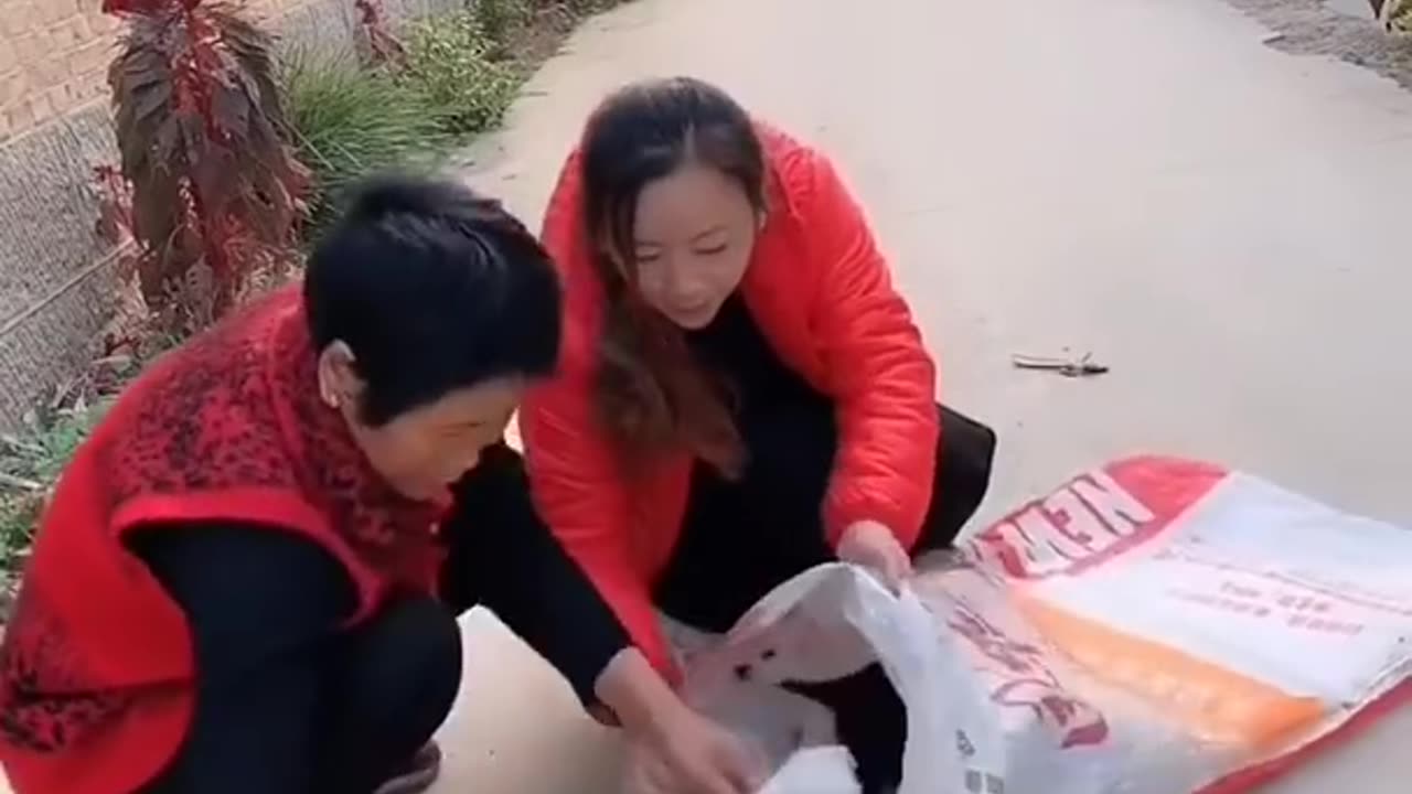 Chinese Funny clips daily