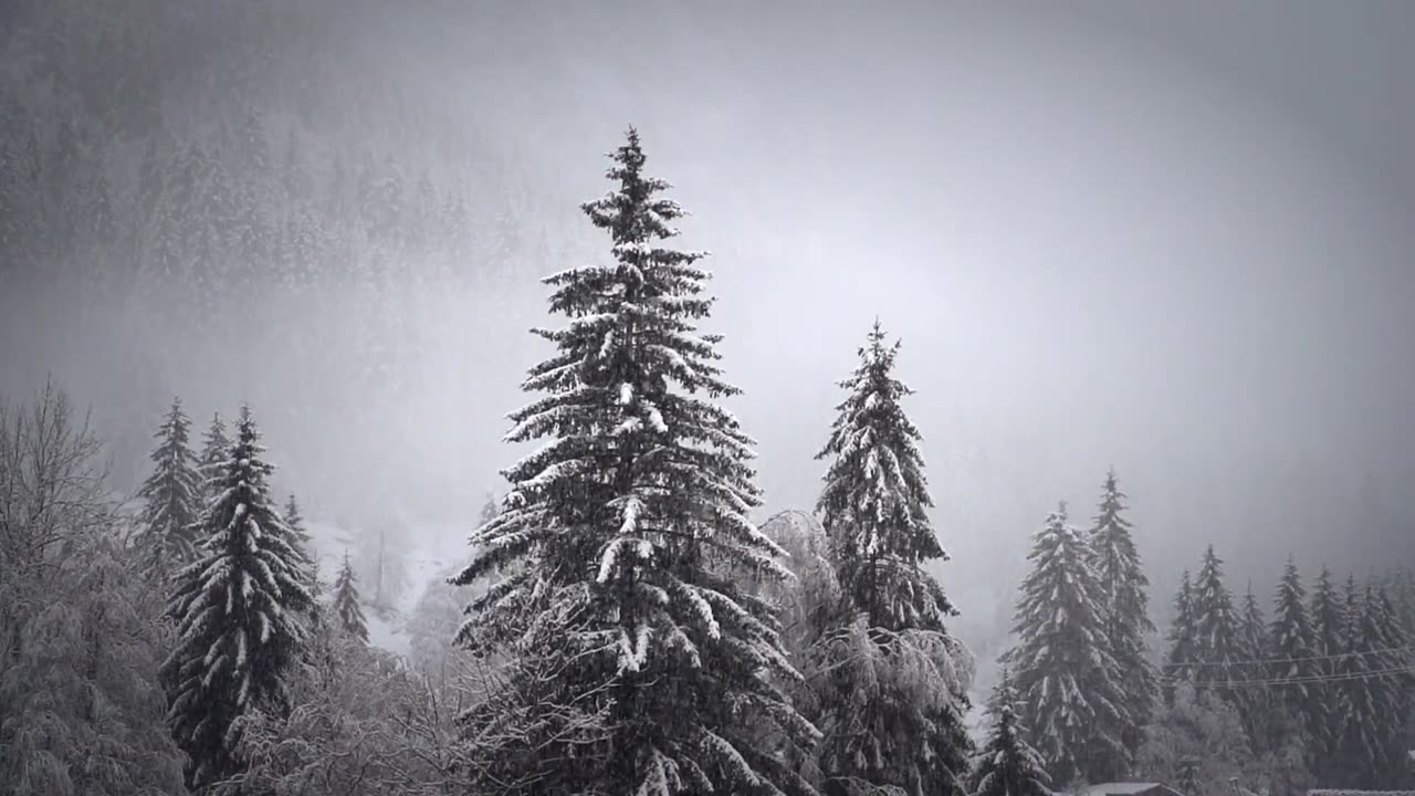 A relaxing video with calming music and beautiful winter scenes