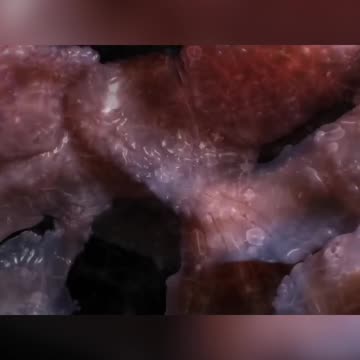 Unlocking the Secrets of LUCA: Our Common Ancestor Revealed